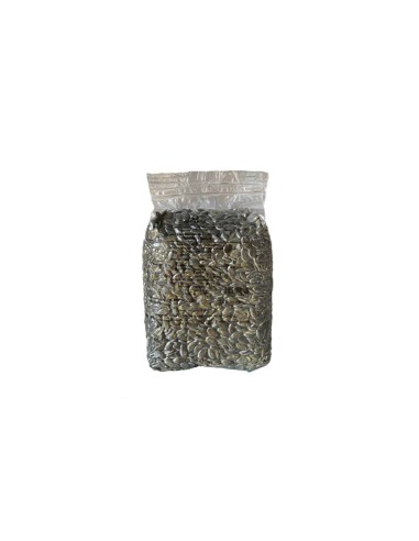 SEMI DI GIRASOLE  COPERTURE - 1KG