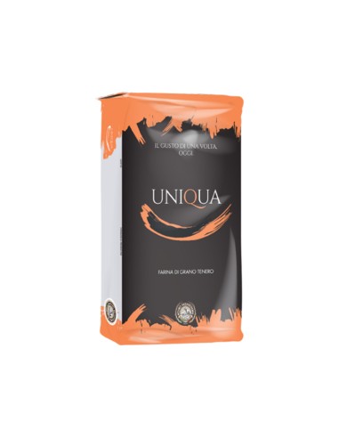 UNIQUA ARANCIO - KG 10