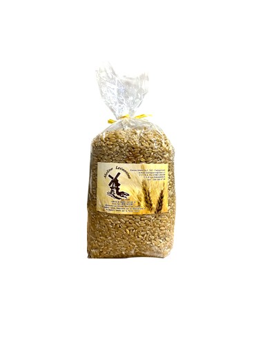 GRANO PER CUCCIA - 1KG